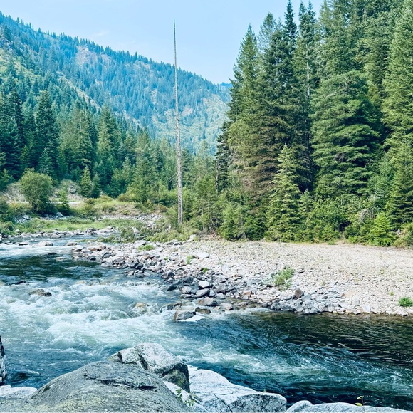 … - Picture 1 of 16